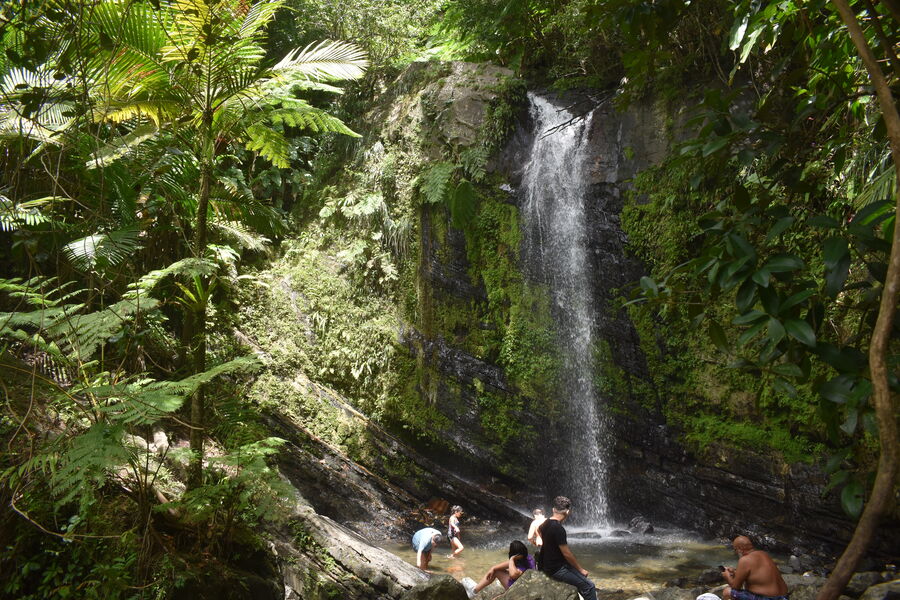 Surf & Yoga Retreat — Aguadilla, Puerto Rico